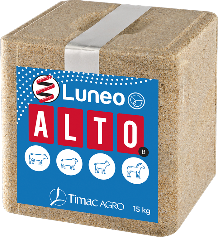LUNEO ALTO-B