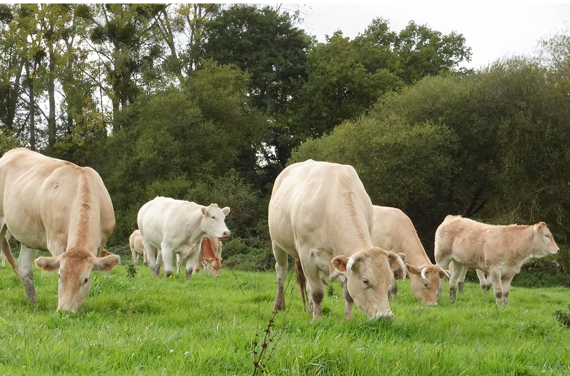salon agriculture 2025 timac agro 2