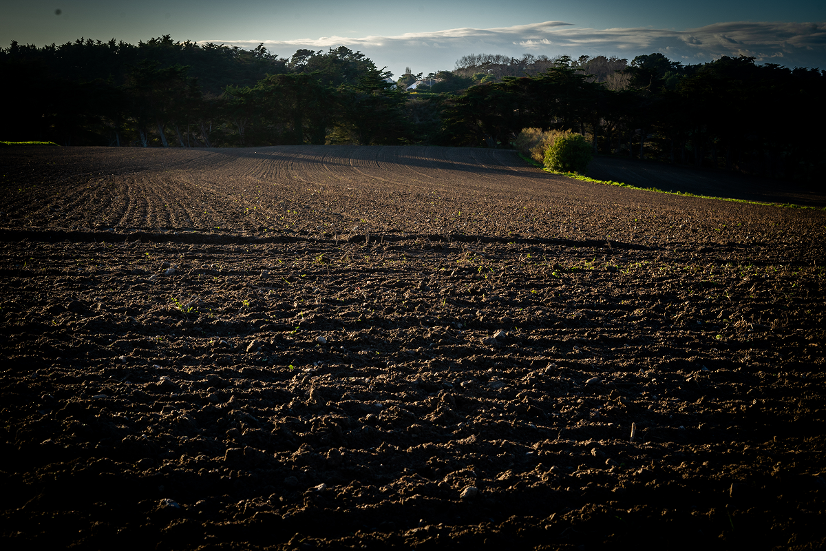 soilconditioners 28 france 2 (1)