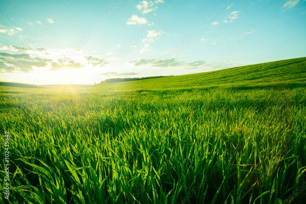 prairie-france-fertilisation