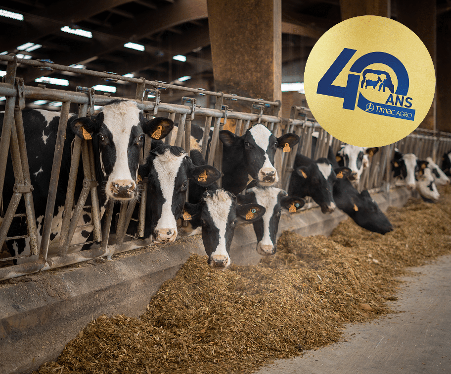 rumen nutrition animale bovin