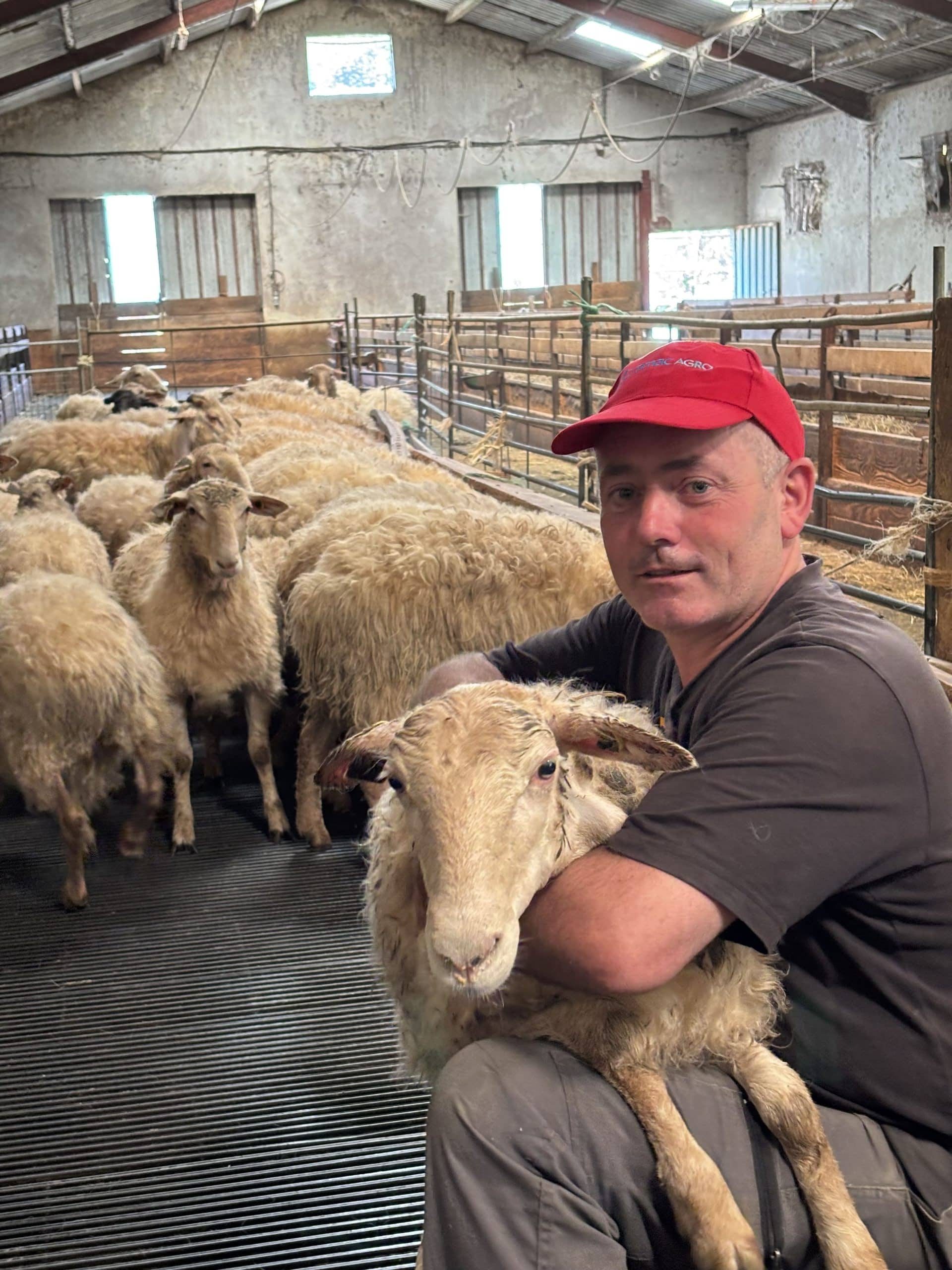 témoignage agriculteur eleveur ovin CETEIA