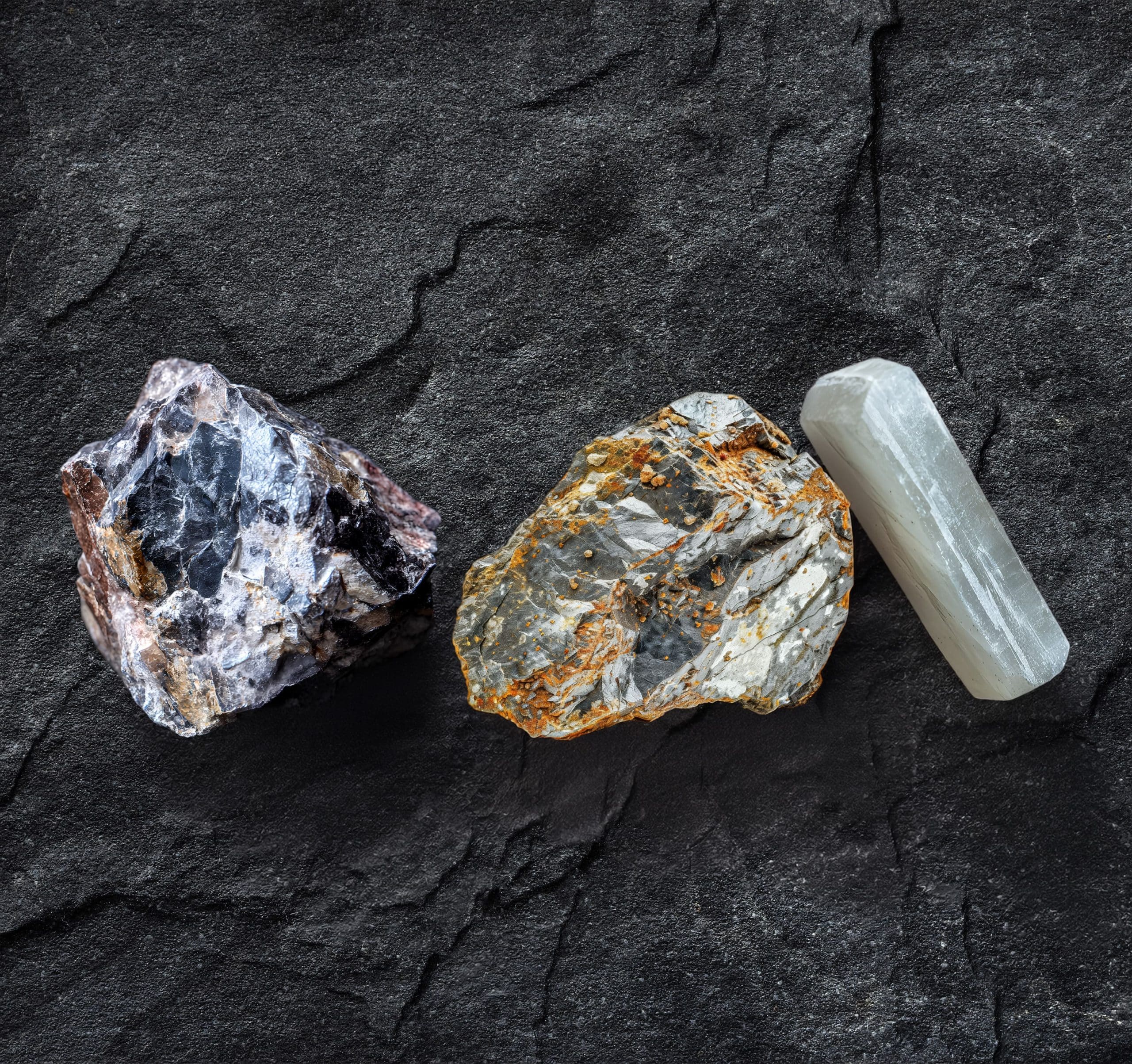 cobalt-sélénium-molybdène-nutrition-vegetale