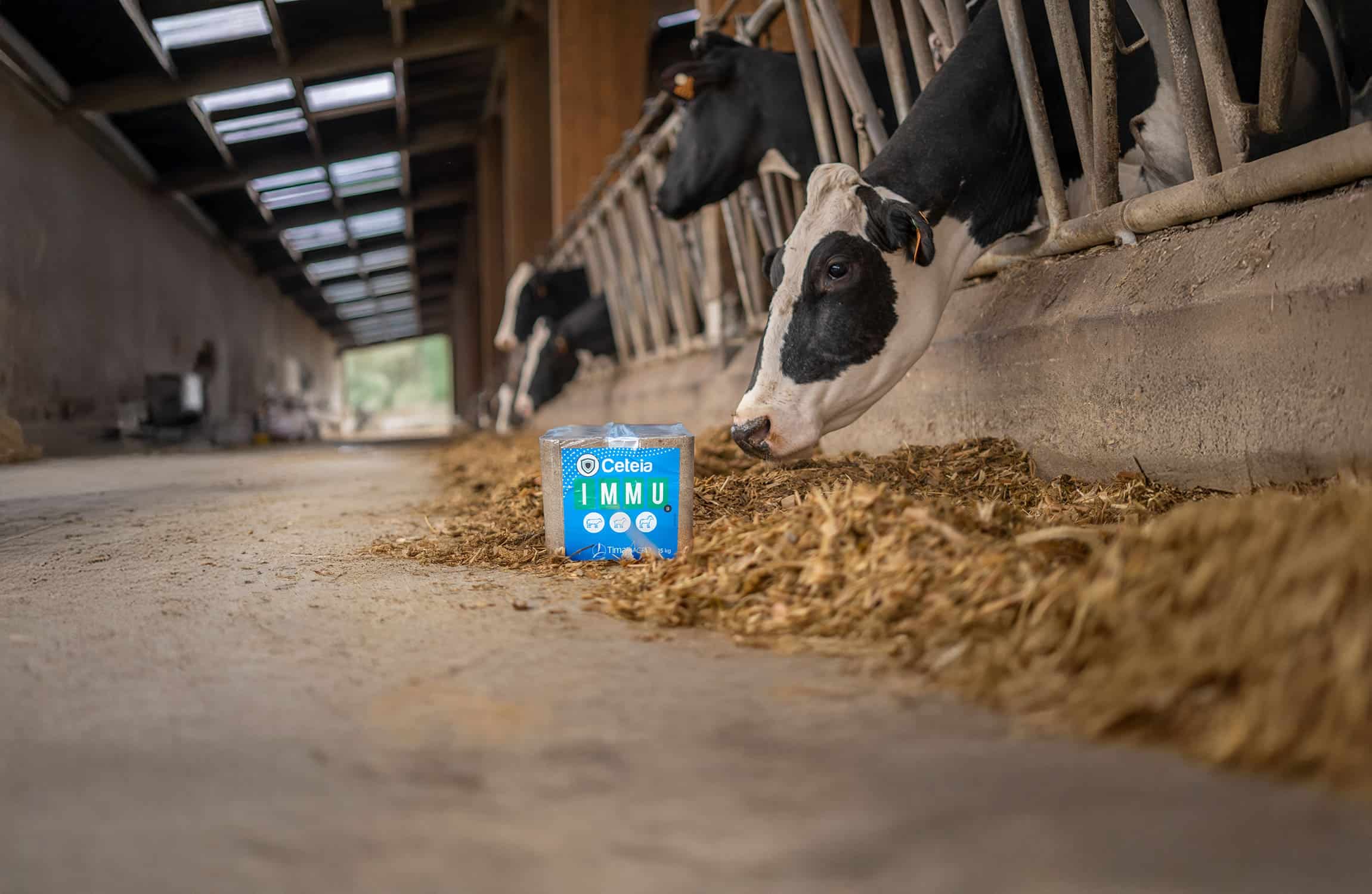 Cobalt-molybdene-selenium-ruminant-bovin-pierre a lecher