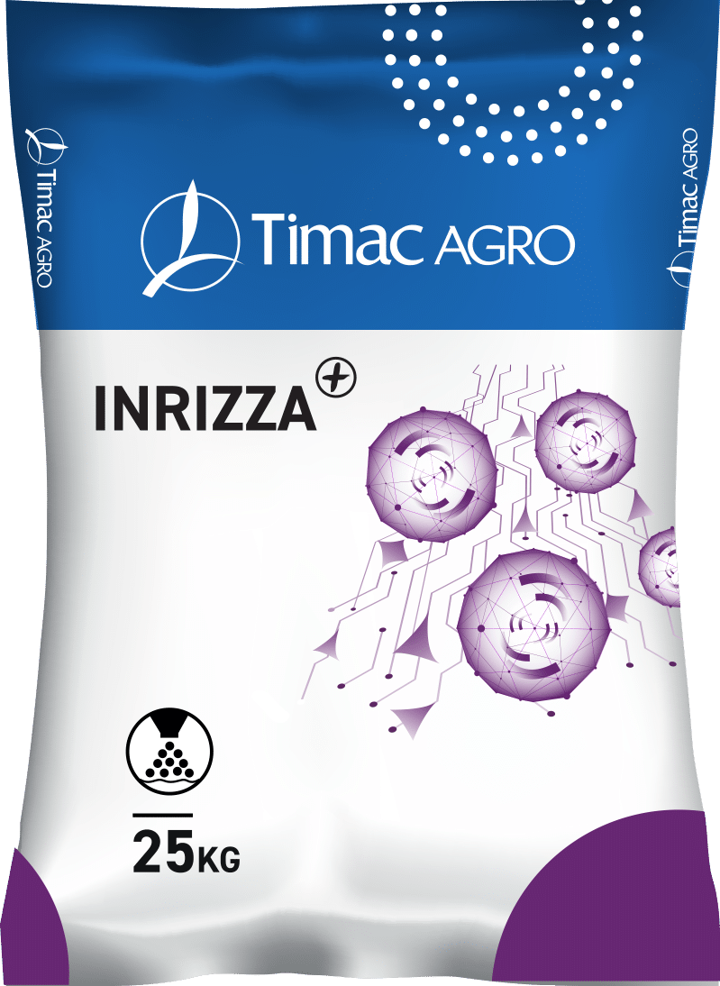 INRIZZA+