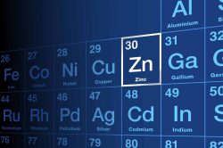 zinc-oligoelement-nutrition-vegetale-animale