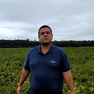 maxifruit tomate timac agro france