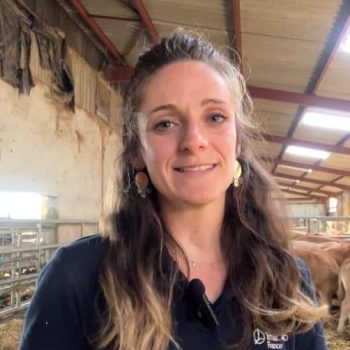 actisan 360 elevage ruminant veau vache