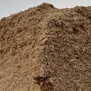 petit bandeau article mais ensilage